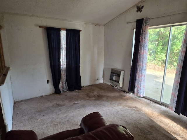 35 N Cypress St, Mcdavid, FL 32568 - unfurnished living room featuring heating unit, carpet floors, and lofted ceiling