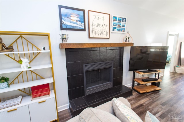 details with wood-type flooring and a fireplace