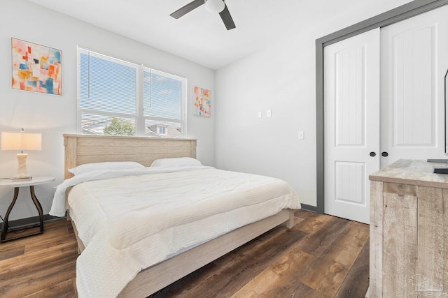 bedroom featuring ceiling fan, dark hardwood / wood-style floors, and a closet