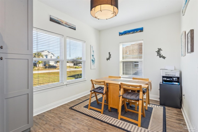 dining room with hardwood / wood-style floors and a healthy amount of sunlight