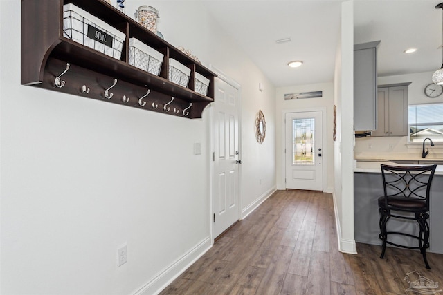 entryway with sink and dark wood-type flooring