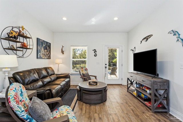 living room with wood-type flooring