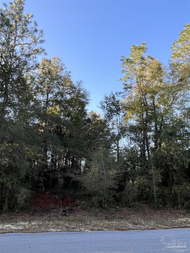 00000 S Lakeview Dr, Crestview FL, 32536 land for sale