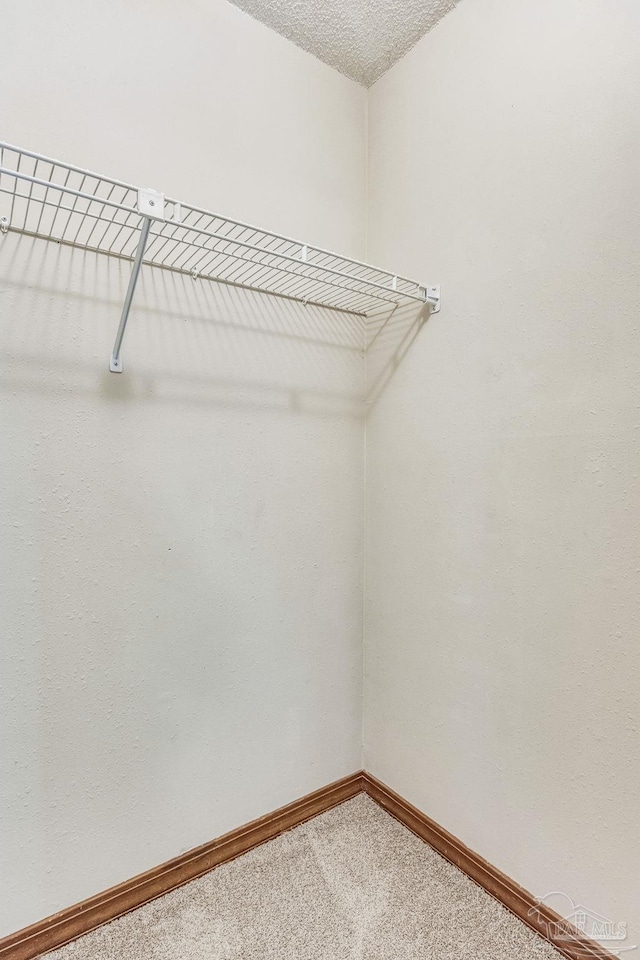 spacious closet featuring carpet flooring