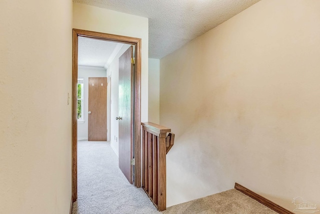 hall with carpet flooring and a textured ceiling