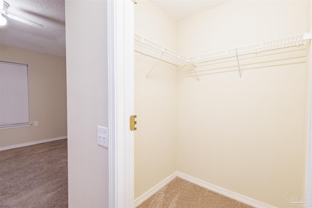 spacious closet with carpet flooring and ceiling fan