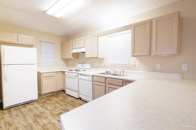 kitchen with a textured ceiling, light wood-type flooring, sink, and white appliances