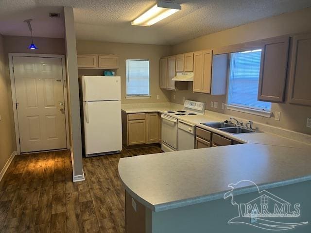 kitchen with a textured ceiling, white appliances, dark hardwood / wood-style flooring, sink, and kitchen peninsula