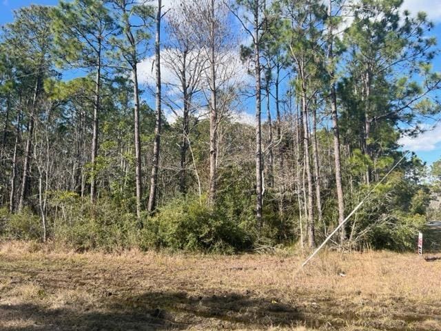 335E San Antonio Dr, Milton, FL 32570