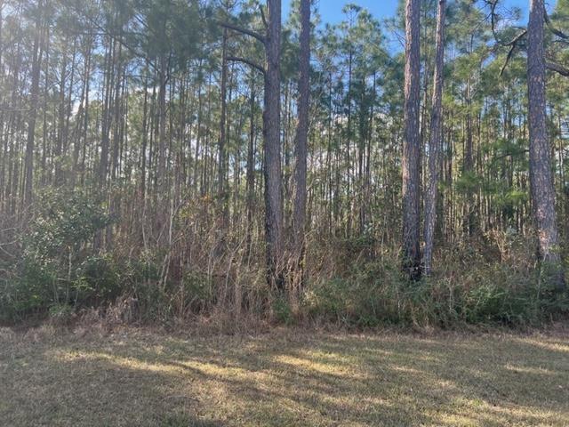 335E San Antonio Dr, Milton, FL 32570