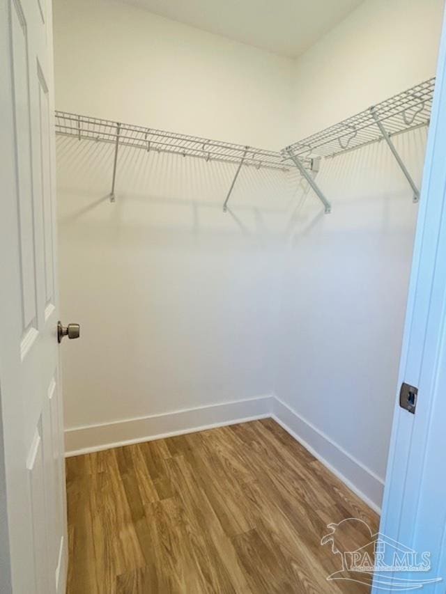 spacious closet with hardwood / wood-style floors