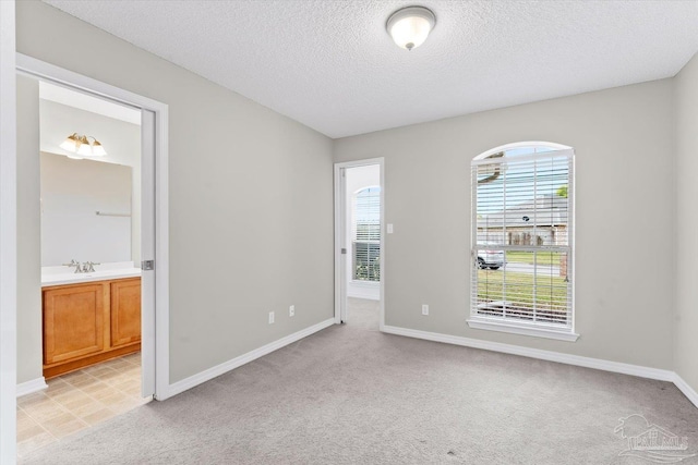 carpeted empty room featuring sink and a textured ceiling