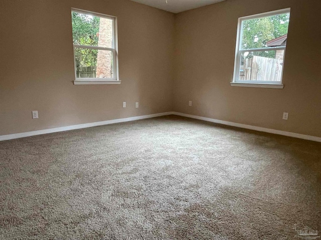 empty room featuring a wealth of natural light and carpet floors