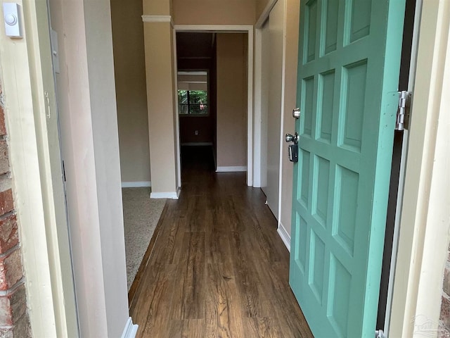 corridor with dark wood-type flooring