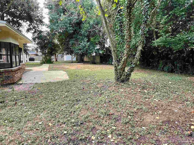 view of yard with a patio area