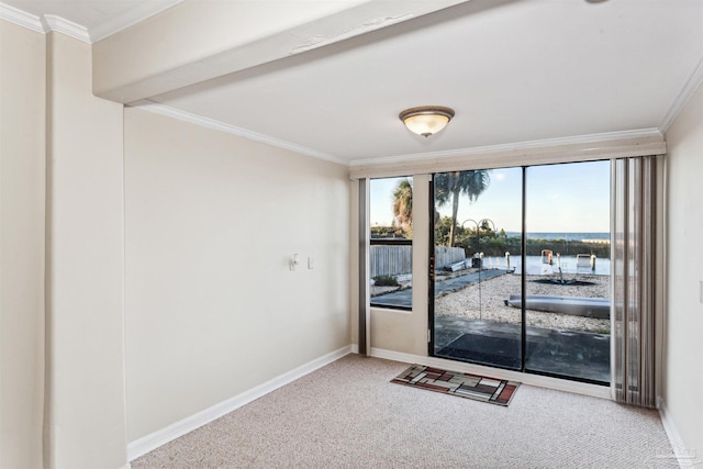 interior space with carpet flooring, a water view, and ornamental molding