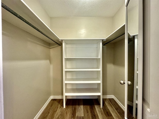 spacious closet with dark wood-type flooring