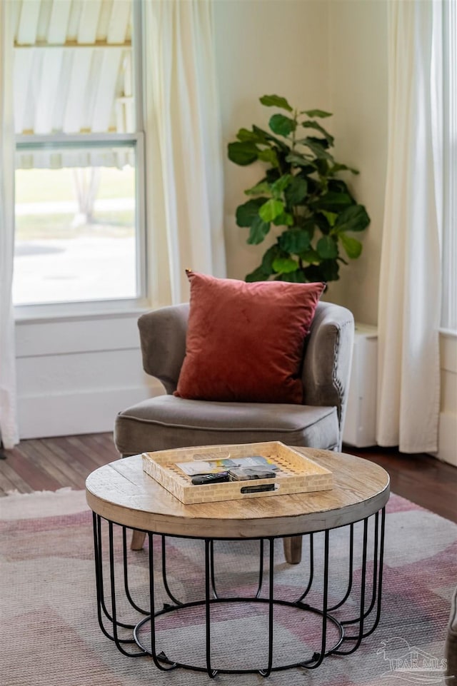 living area featuring dark wood-type flooring