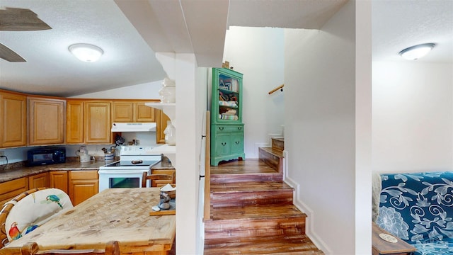 kitchen with white electric stove, vaulted ceiling, a textured ceiling, black microwave, and under cabinet range hood