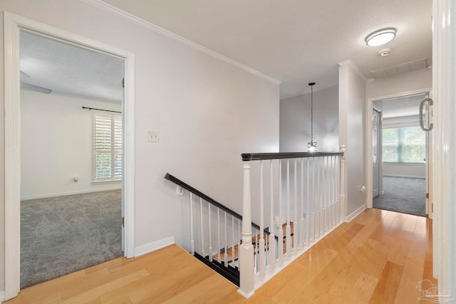 2960 Laurel Dr, Gulf Breeze, FL 32563 - hall with an upstairs landing, wood finished floors, carpet flooring, baseboards, and crown molding