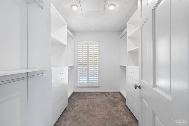 2960 Laurel Dr, Gulf Breeze, FL 32563 - spacious closet featuring attic access and dark carpet