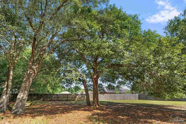 6299 Anderson Ln, Milton, FL 32570 - view of fenced backyard
