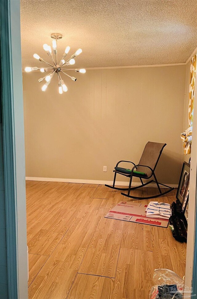 empty room with ceiling fan, carpet flooring, and a textured ceiling