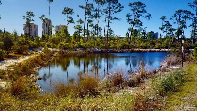 view of water feature