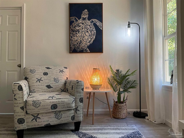 sitting room with wood-type flooring and a wealth of natural light