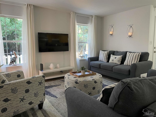 living room with hardwood / wood-style flooring