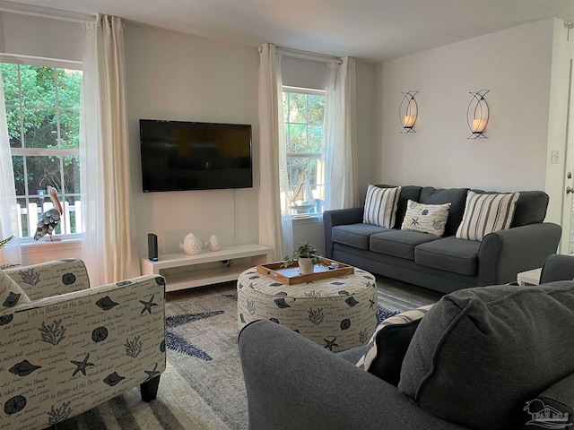 living room featuring hardwood / wood-style flooring