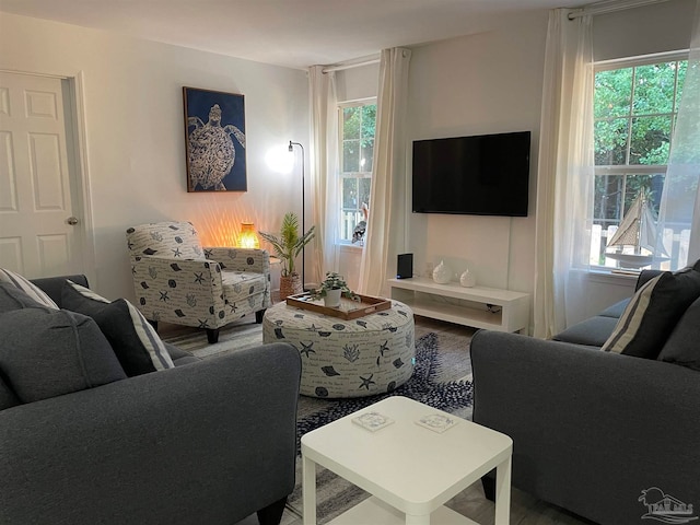 living room featuring wood-type flooring and plenty of natural light