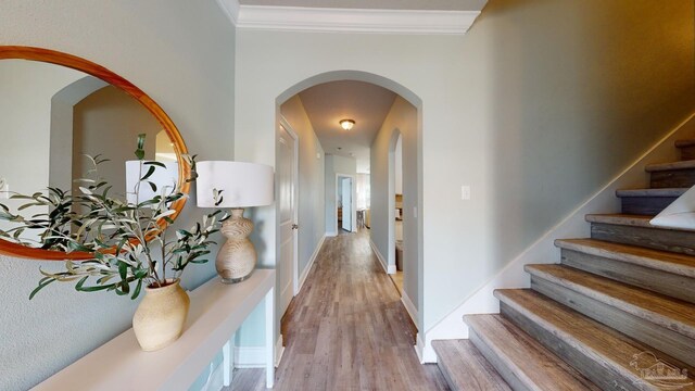 265 Tropical Breeze Dr, Santa Rosa Beach, FL 32459 - hall featuring light wood-style flooring, crown molding, baseboards, stairs, and arched walkways