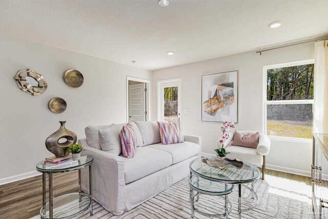 living area featuring a textured ceiling, a healthy amount of sunlight, wood finished floors, and baseboards