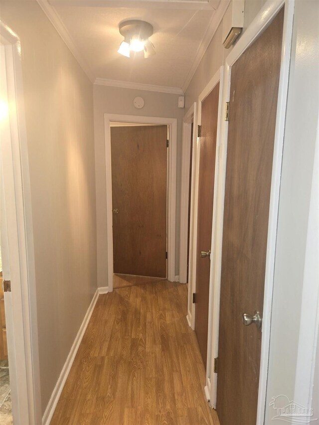 hallway with crown molding and wood-type flooring