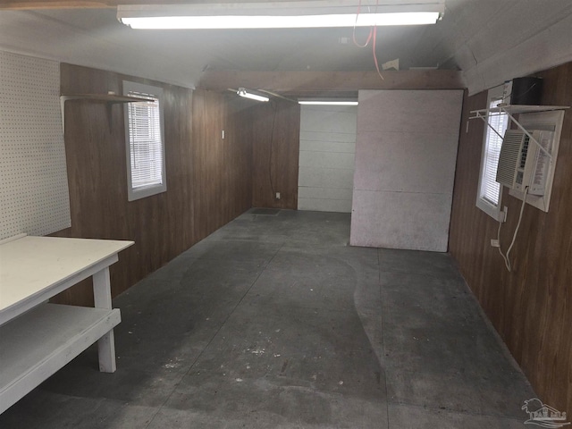 basement with wood walls