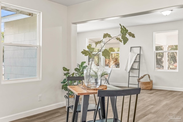 interior space with hardwood / wood-style floors and plenty of natural light