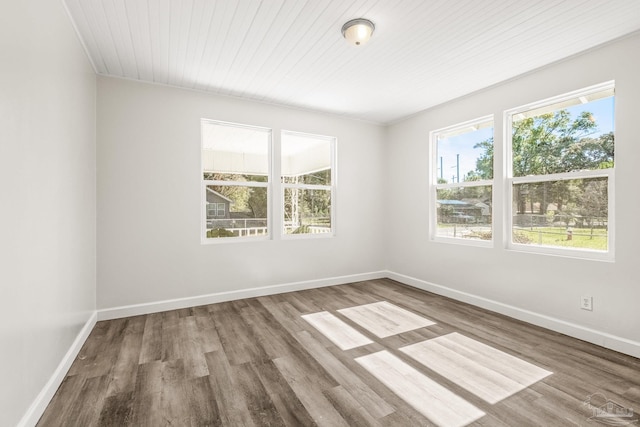 spare room featuring wood ceiling, plenty of natural light, and wood-type flooring