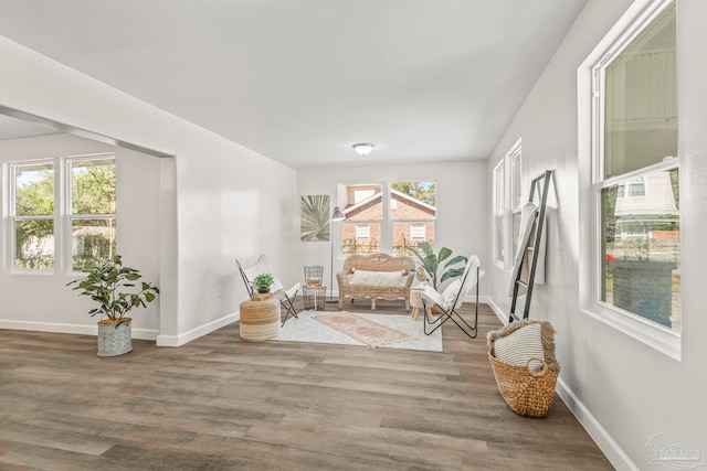 sitting room featuring hardwood / wood-style flooring