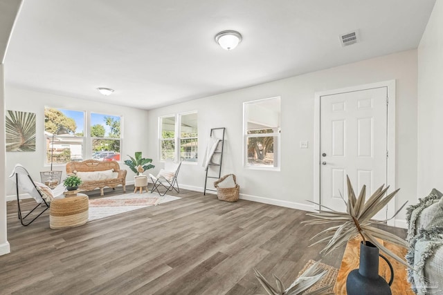 living area featuring hardwood / wood-style floors