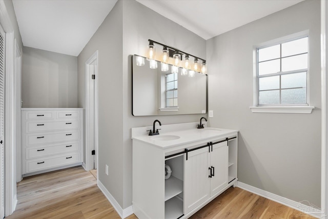 bathroom featuring wood-type flooring and vanity