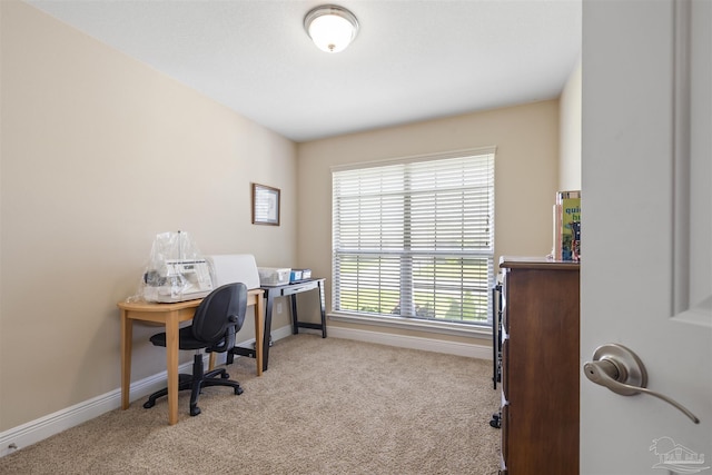 3288 Wasatch Range Loop, Pensacola, FL 32526 - home office featuring carpet floors and baseboards