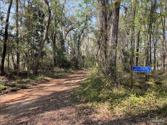 5301 Gentle Breeze Dr, Tallahassee, FL 32317 - view of street featuring a forest view
