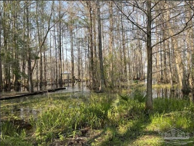 5301 Gentle Breeze Dr, Tallahassee, FL 32317 - view of yard with a wooded view