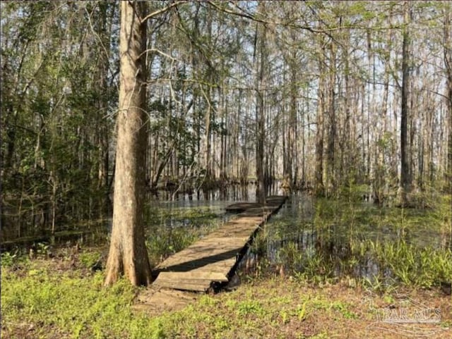 5301 Gentle Breeze Dr, Tallahassee, FL 32317 - view of tree filled area