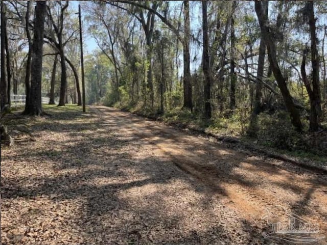 5301 Gentle Breeze Dr, Tallahassee, FL 32317 - view of road featuring a forest view