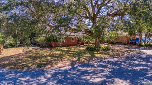 obstructed view of property featuring brick siding and a front lawn