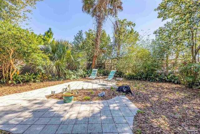 view of yard featuring a patio area and fence