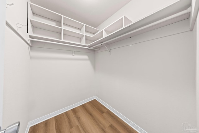 walk in closet featuring wood finished floors