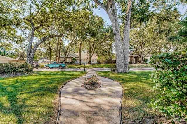 view of property's community featuring a lawn